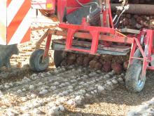 The machine features a conveyor belt to clear the soil without damaging the beetroots