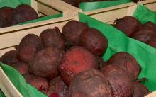 Cooked beets sold fresh and unpeeled