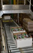 Packaged beets coming off the steamer assembly line, prior to shipping